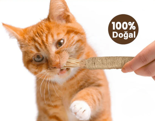 Doğal Çiğneme Çubuğu