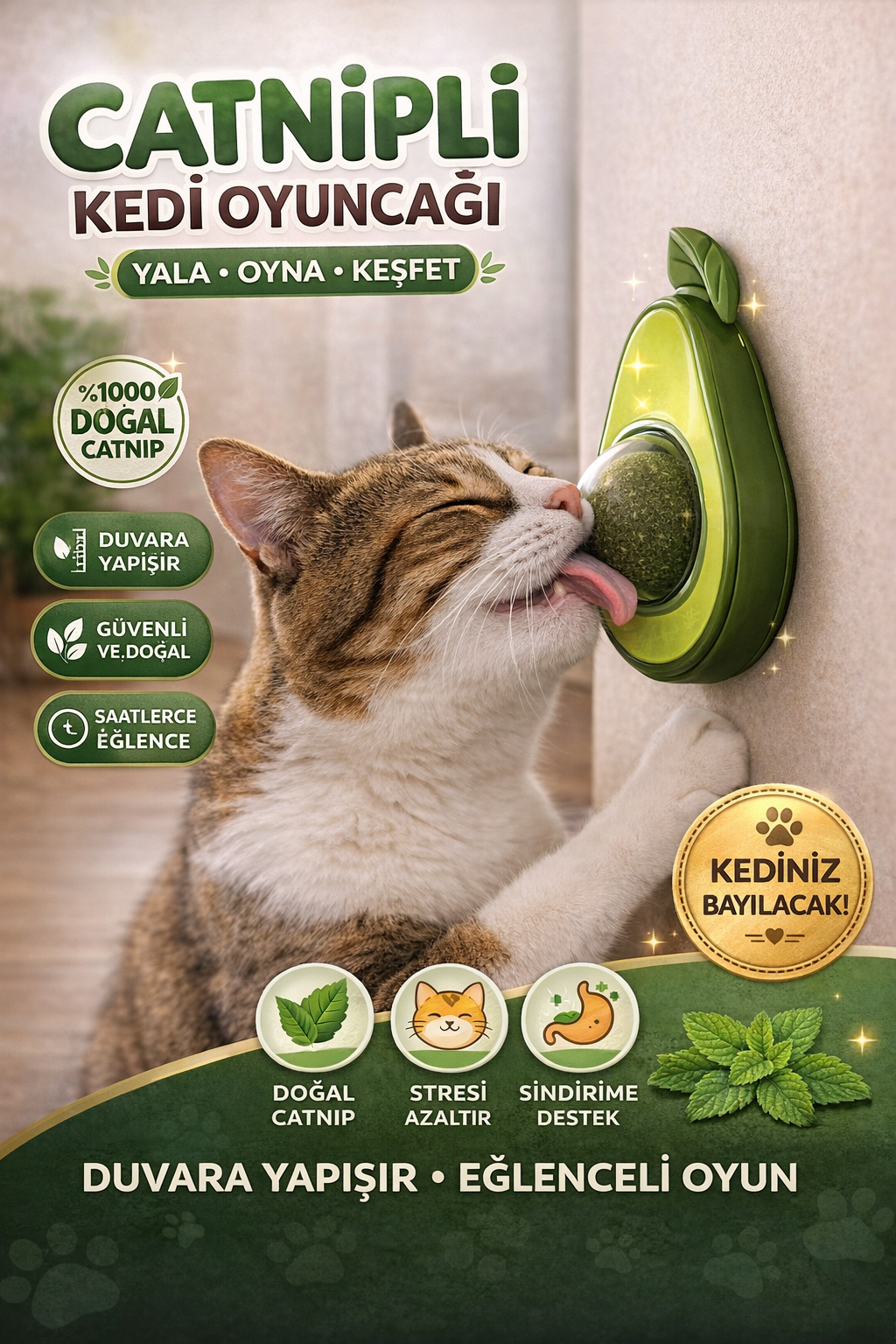 Catnipli Kedi Oyuncağı Yalama Topu (Duvara Yapışan Kedi Nanesi Topu)