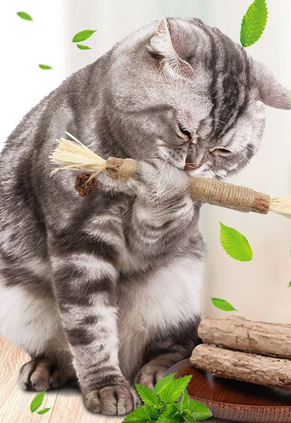 Doğal Çiğneme Çubuğu