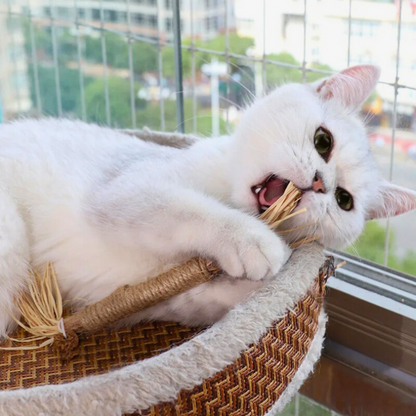 <p>Kedinize Mutluluk,<br/>Evinize <strong>Huzur Getirin.</strong></p>