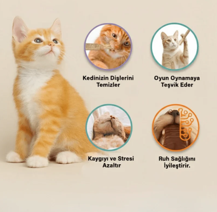 Doğal Çiğneme Çubuğu