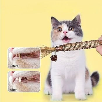 Doğal Çiğneme Çubuğu