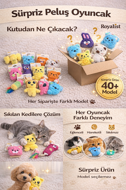 Kutudan Ne Çıkacak? 🎁  Sürpriz Peluş Oyuncak (40+ Model)
