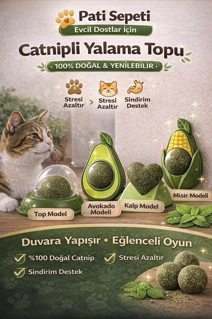 Catnipli Kedi Oyuncağı Yalama Topu (Duvara Yapışan Kedi Nanesi Topu)